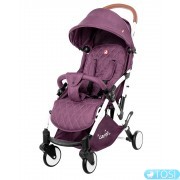 Прогулочная коляска Carrello Pilot